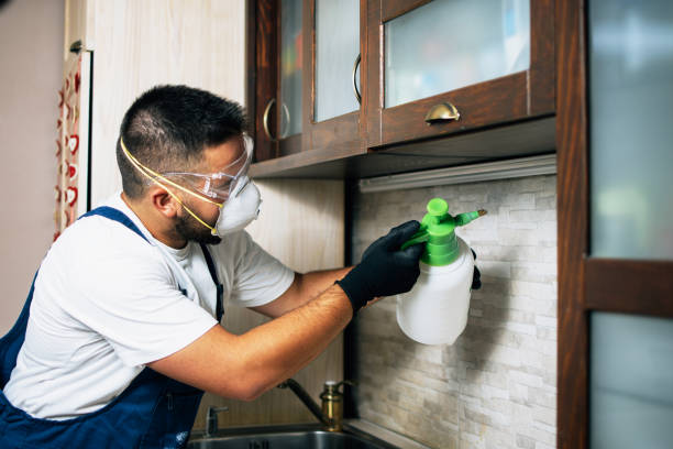 Best Rat Extermination Near Me  in Geneva, WA