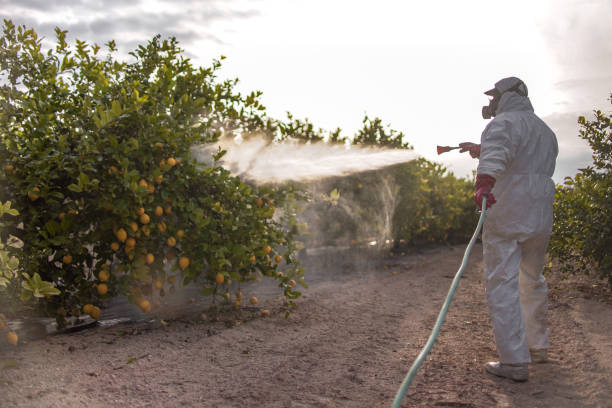 Trusted Geneva, WA Pest Control Experts
