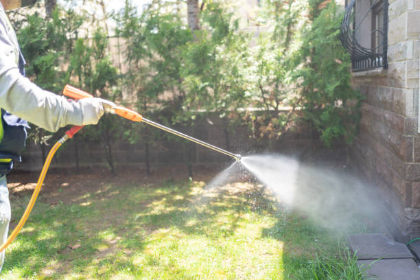 Best Local Pest Control Services  in Geneva, WA