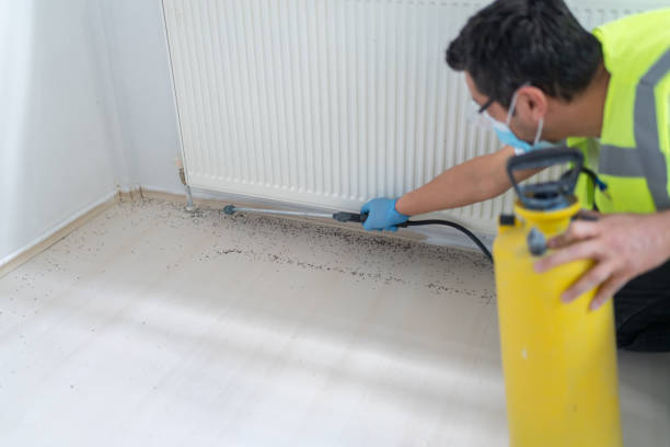 Pest Control Cost in Geneva, WA