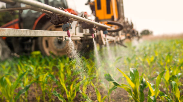 Best Mosquito Control Services  in Geneva, WA